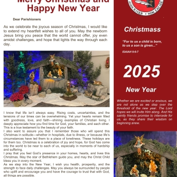 Merry Christmas and Happy New Year 2025